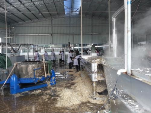 ���׈��O����������׈����w�O����ղ��